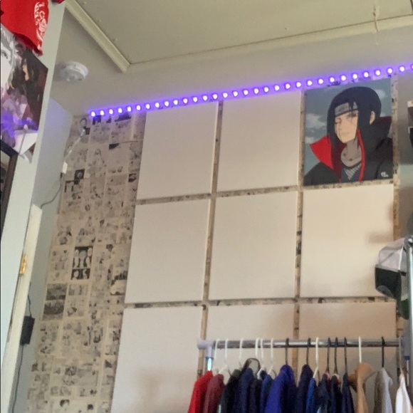 Meet your Posher, Jonah - Picture 1 of 1